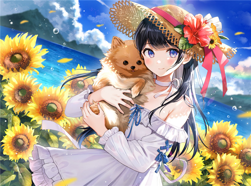 画师西沢插画作品合集P站pixiv原画高清壁纸图片素材合集