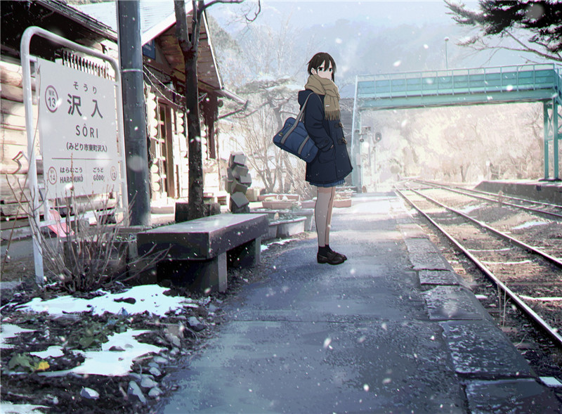 P站日榜2023.1.24-1.31