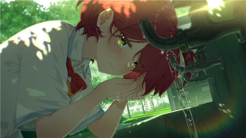 [537P-1.28G]动漫败犬女主太多了人物图集超清壁纸海报CG画集原画插画图片素材