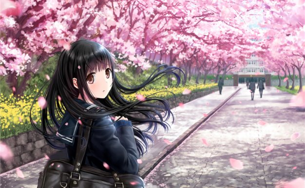 [樱花]动漫二次元日系樱花少女背景场景图包14.6G合集_持续更新