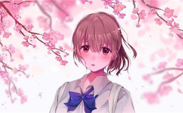 动漫声之形壁纸图包原画插画素材P站同人图合集动漫图