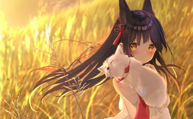 二次元狐耳少女壁纸图包原画插画素材P站同人图合集