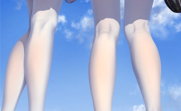 P站(魅惑的大腿)壁纸图包合集vol.4[609P-960M]