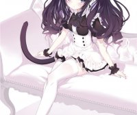 【专题】动漫女仆少女专题图包合集vol.8[513P-2.17G]